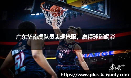 开云体育官网平台